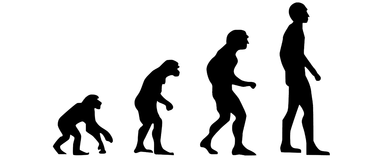 Image depicting evolution from ape to human